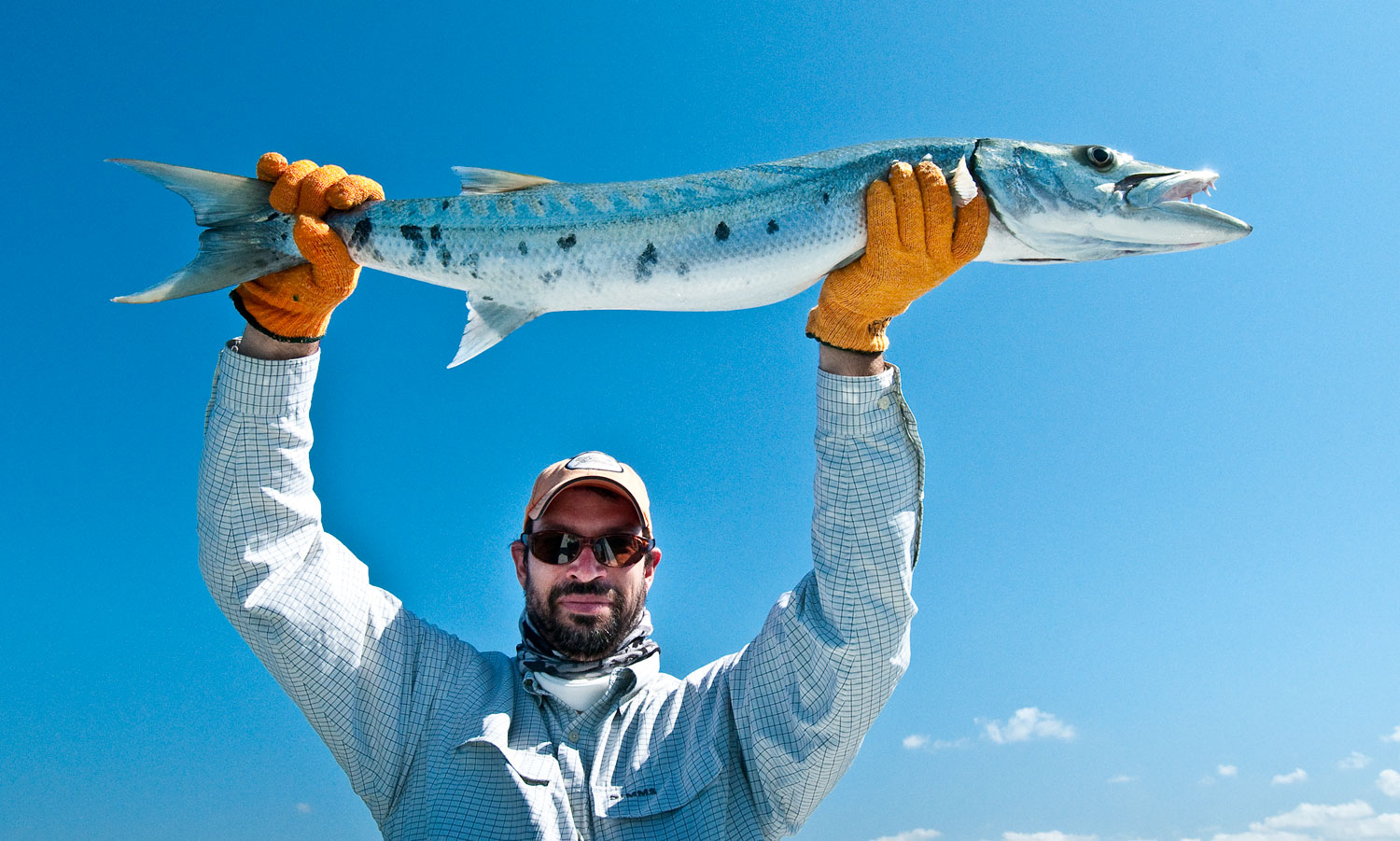 Barracuda 101 // How to Fly Fish for Barracuda 