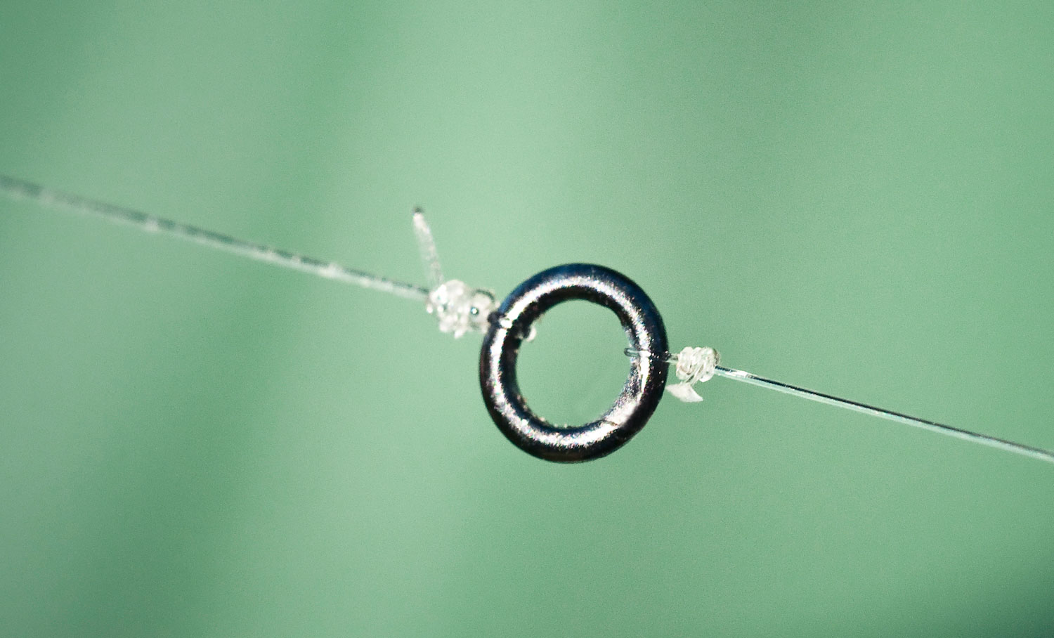 Fly Fishing Tip: Use Tippet Rings to Extend the Life of Expensive