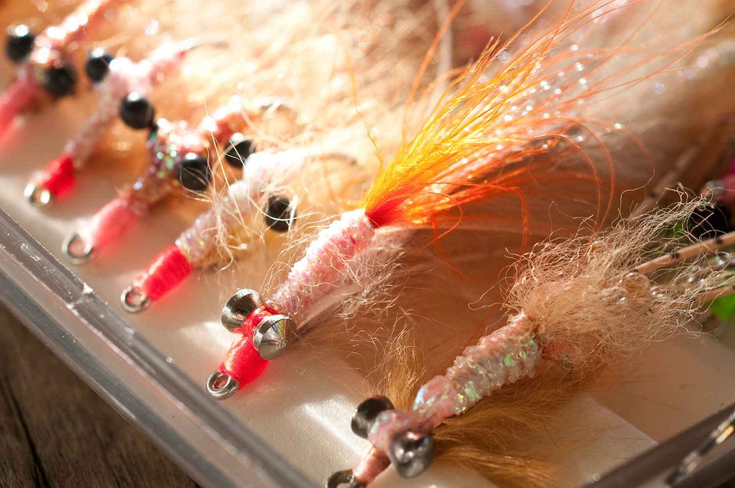 Perfecting Your Bonefish Fly Presentation and Hook Set