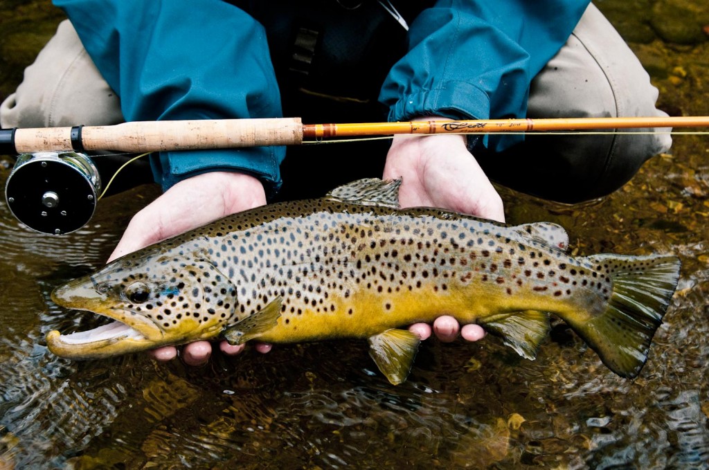fiberglass fly rods - Fly Fishing, Gink and Gasoline
