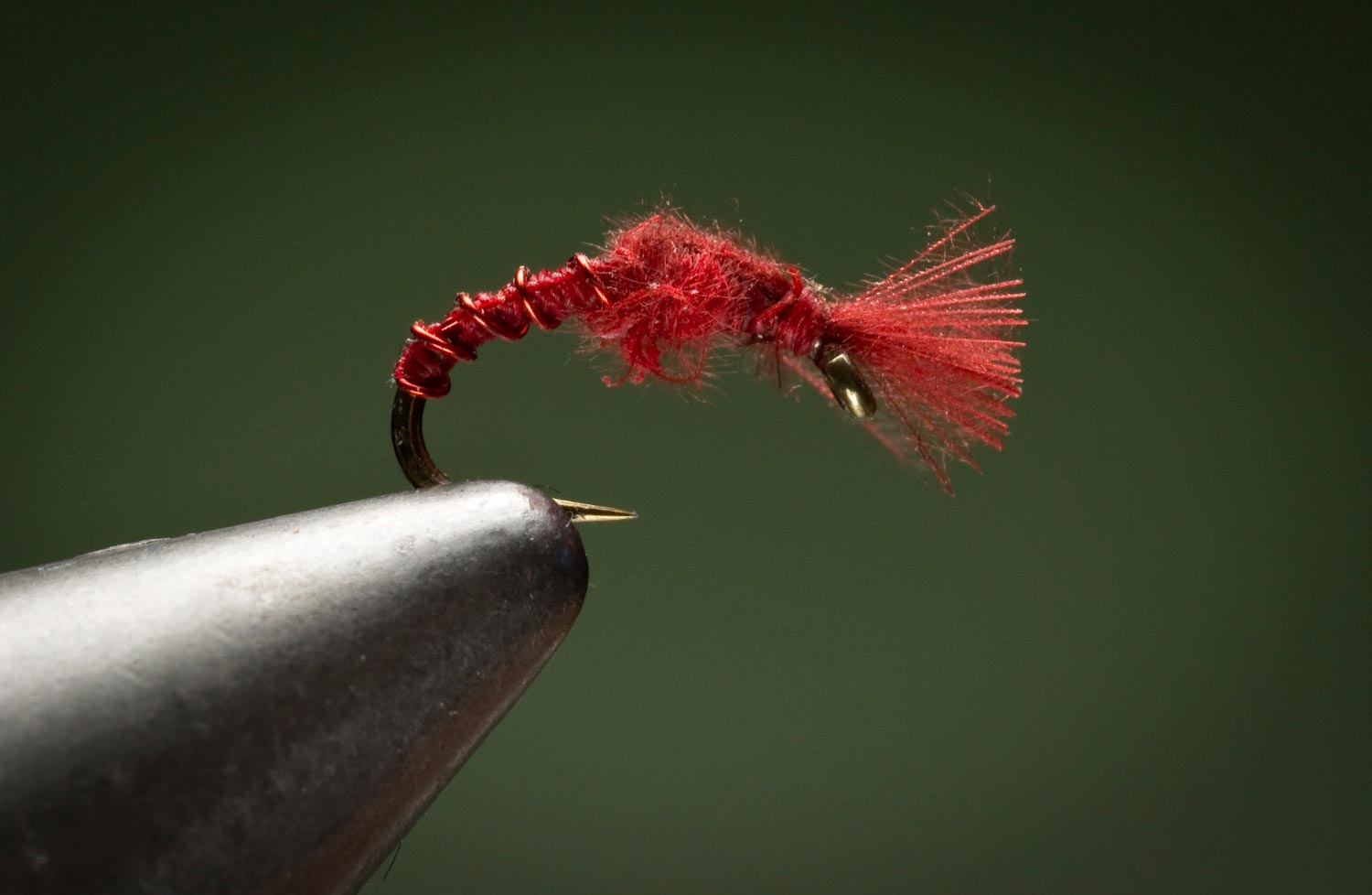 The CDC Blood Midge - Fly Fishing, Gink and Gasoline