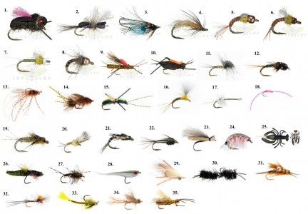 Fly Patterns 2013 – G&G Top Picks - Fly Fishing | Gink and Gasoline ...