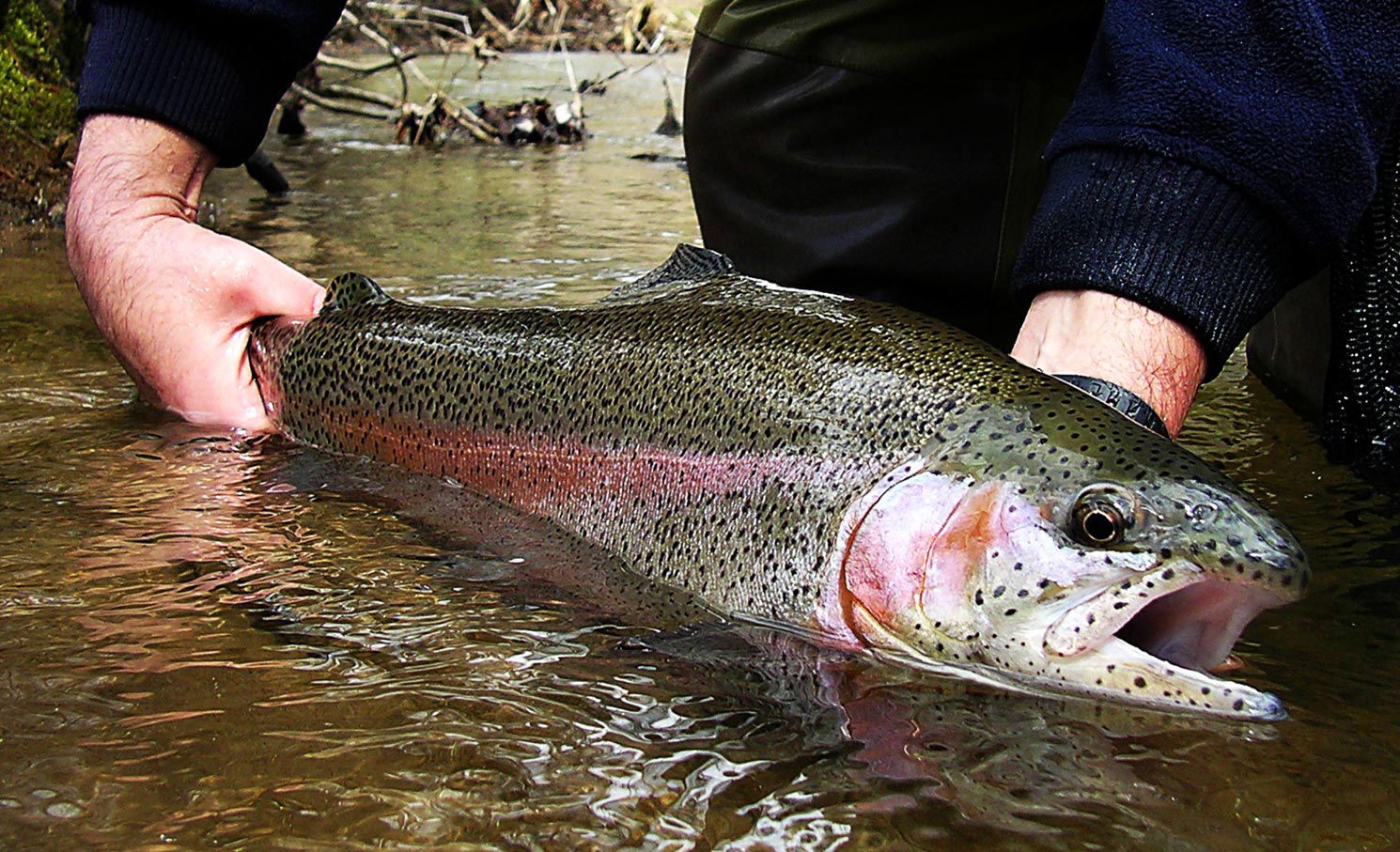 Tandem Tactics for Trout Part Two: Below The Surface - Fly Fishing