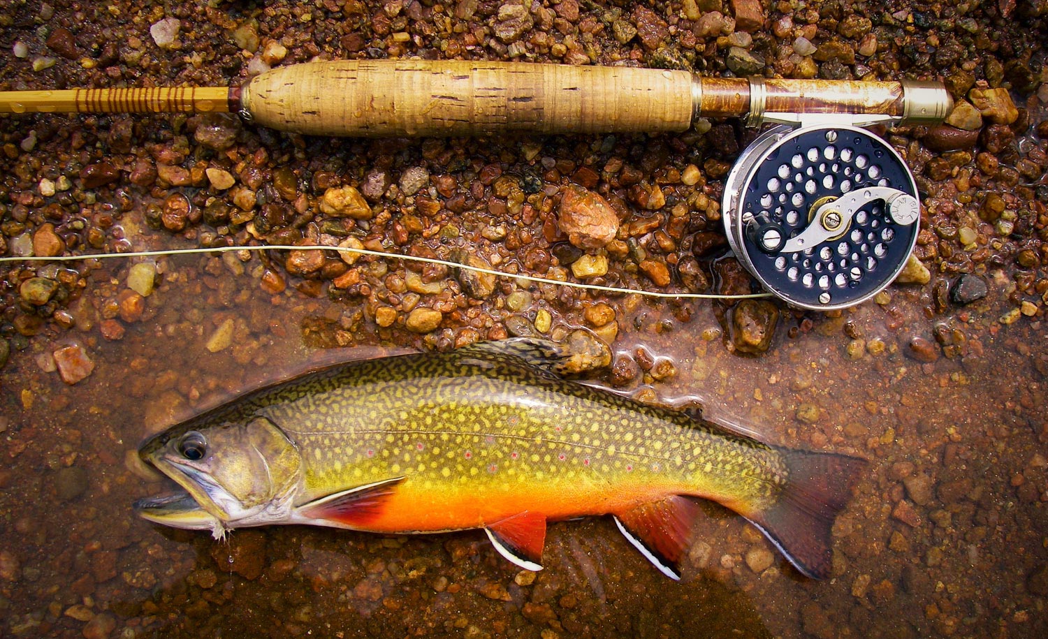 How I Almost Owned A Trout Stream - Fly Fishing, Gink and Gasoline, How  to Fly Fish, Trout Fishing, Fly Tying