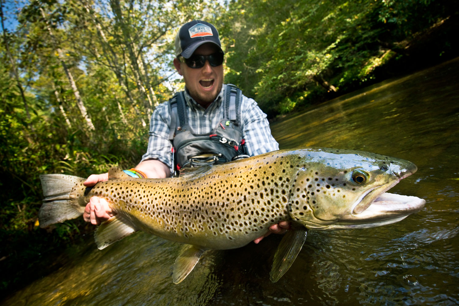Fly Fishing: 6 Sight-Fishing Tips for Shallow Water Trout - Fly Fishing, Gink and Gasoline, How to Fly Fish, Trout Fishing, Fly Tying