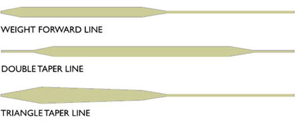 The Fly Line Nerd Out – Part 1: The difference between weight-forward and double  taper fly lines 