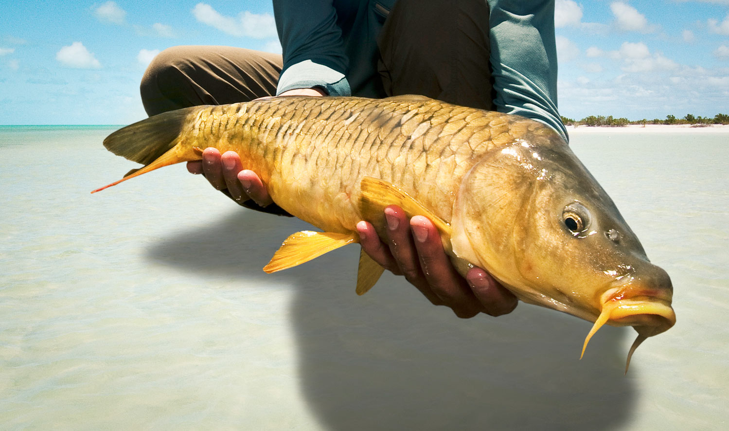 Carp Are Not Bonefish - Fly Fishing, Gink and Gasoline