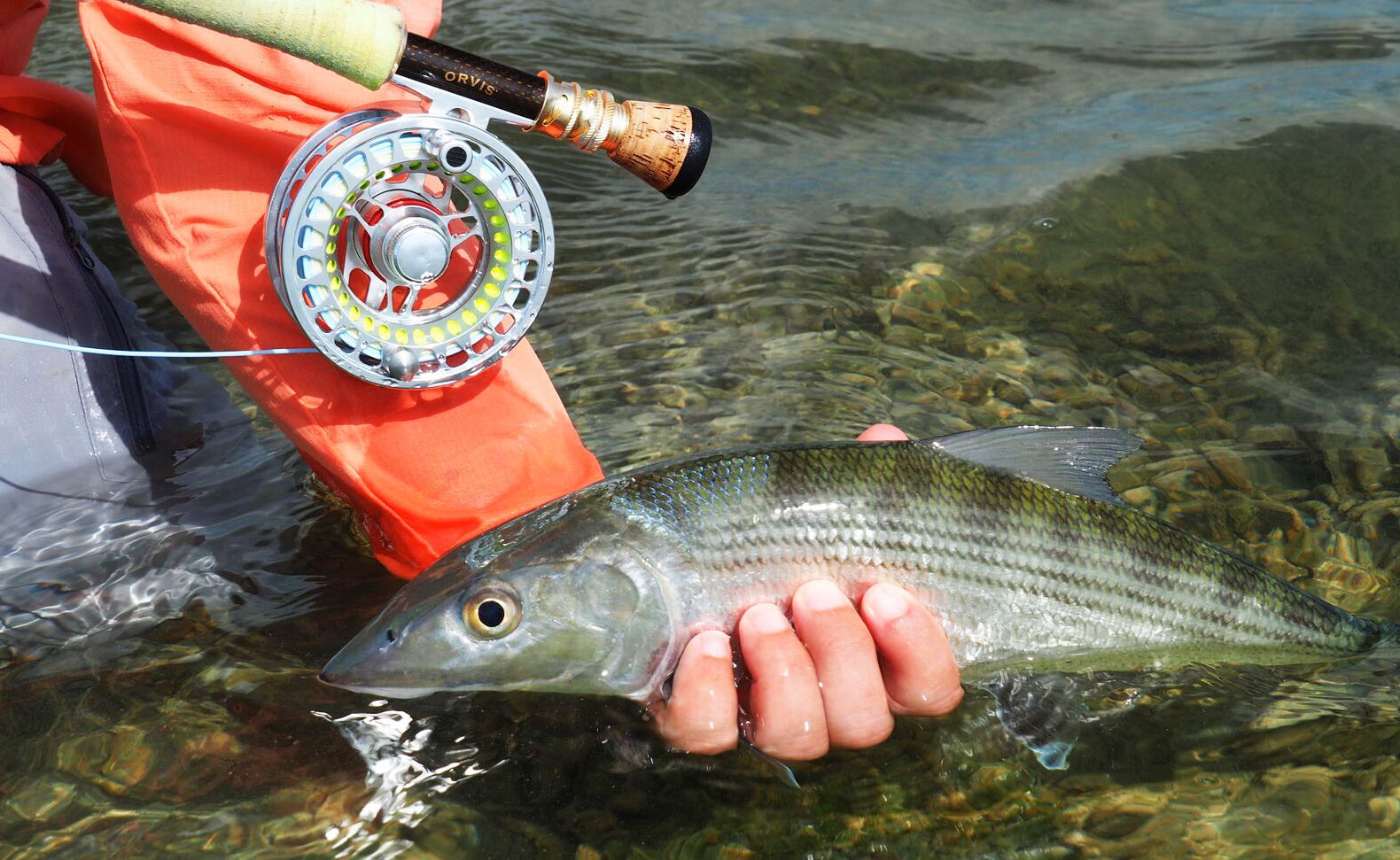 Fly Fishing The Yucatan - Fly Fishing, Gink and Gasoline