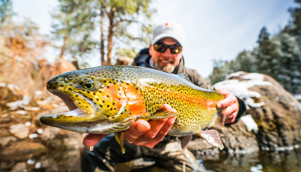 Fly Fishing in Deckers and Cheesman Canyon - South Platte Fly Shop