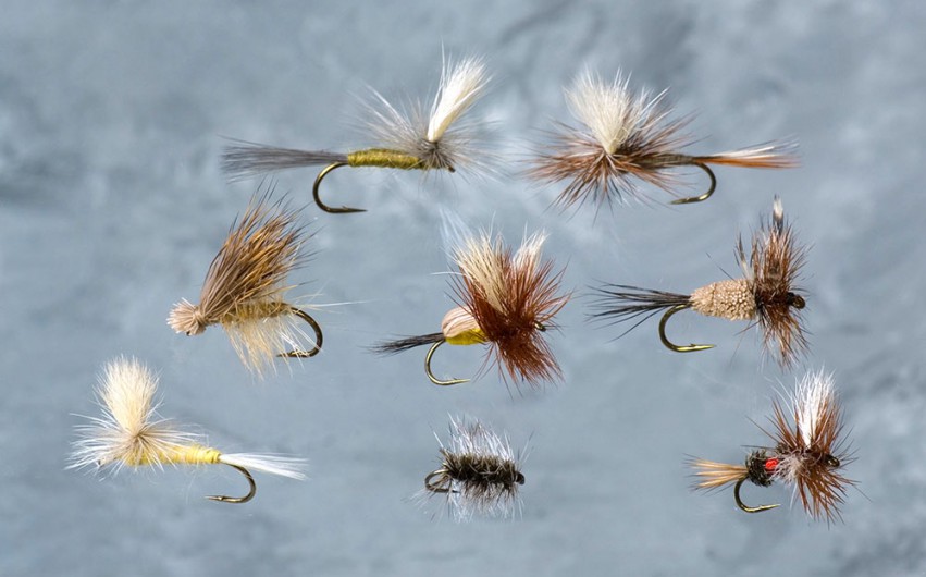 Dry Fly Fishing and the Dead Drift - Fly Fishing | Gink and Gasoline ...