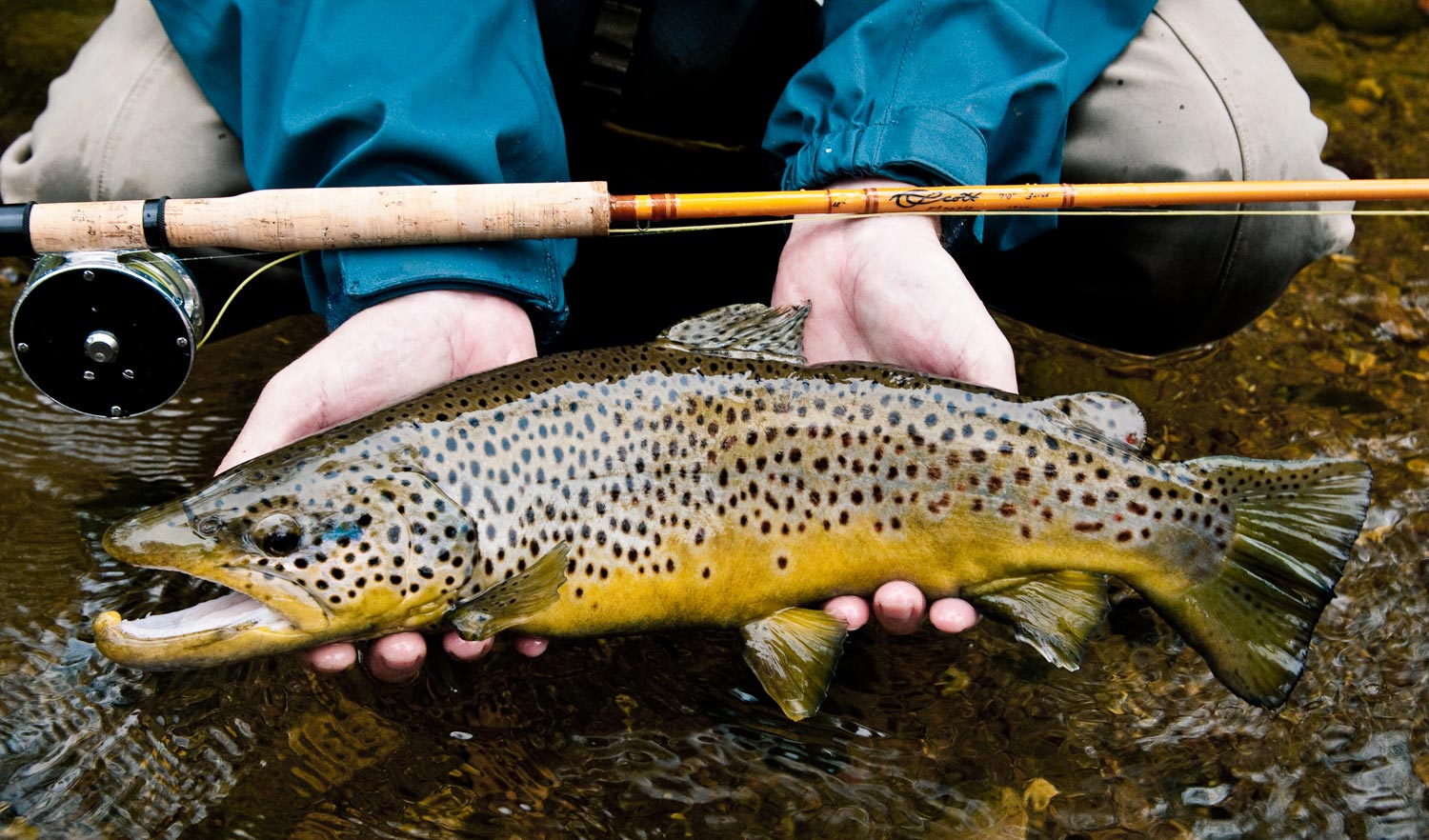 How to Choose the Best Fly Fishing Net