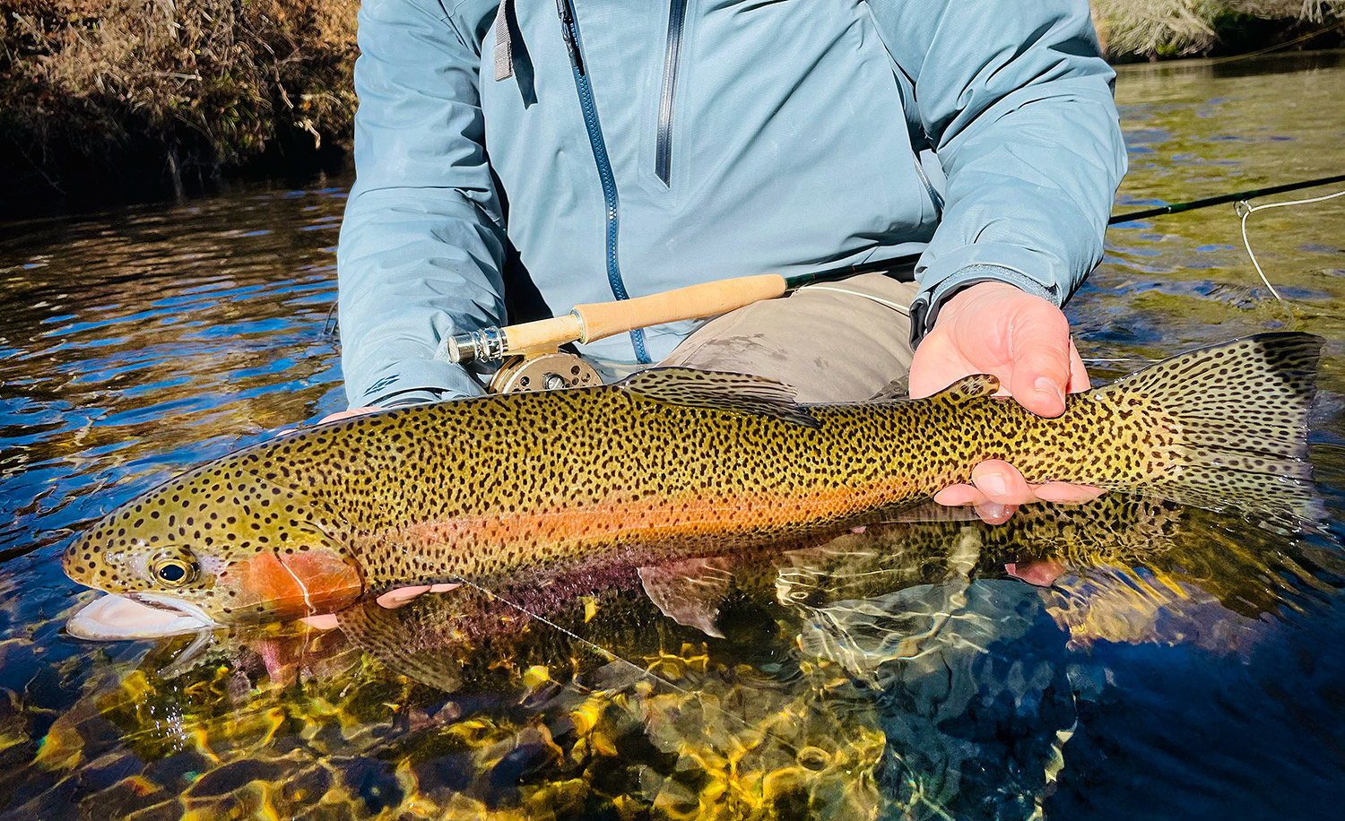 Winston Air 2 “Dark Horse” Review - Fly Fishing